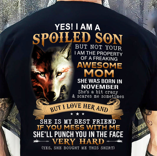 November - Lucky Son of Awesome Mom - Perfect Gift for Son From Mom - KATE11 (SKU10-128-11)