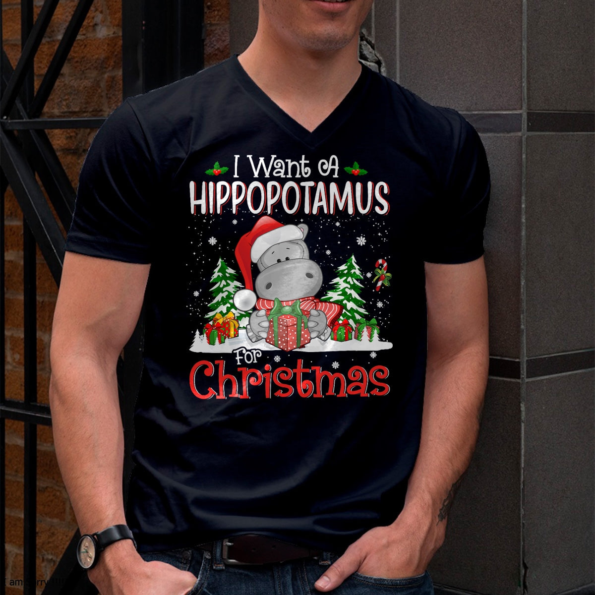 I Want A Hippopotamus For Christmas Xmas Hippo for Kid Women T-Shirt - Christmas Unisex T-Shirt/Hoodie/Sweatshirt - HNDS00