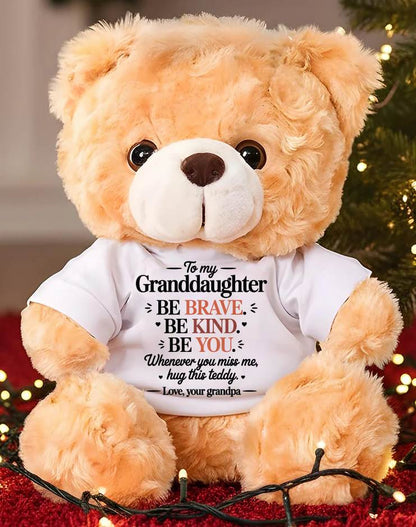 TO MY GRANDDAUGHTER - TEDDY BEAR, A BIG HUG FROM GRANDPA - KATE00
