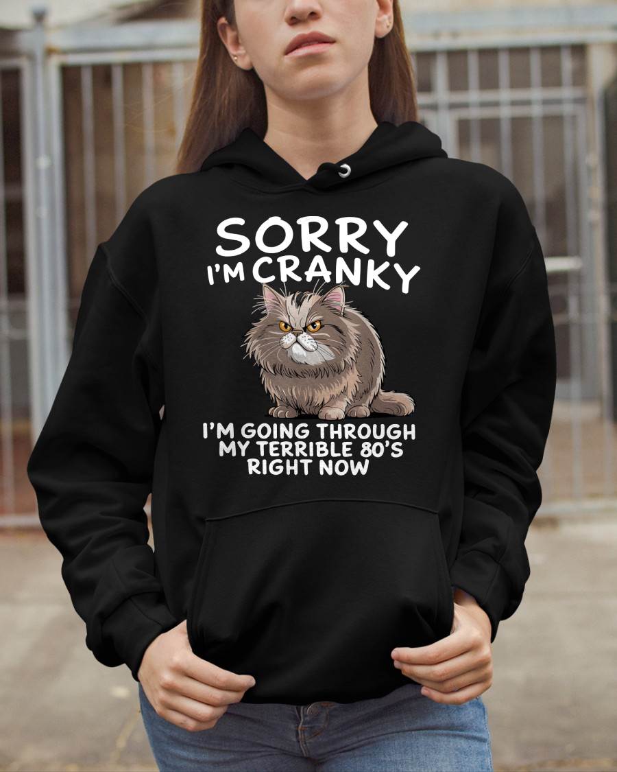 SORRY I AM CRANKY, 80'S - BIRTHDAY SHIRT FOR WOMEN - KATE00 (SKU12-254)