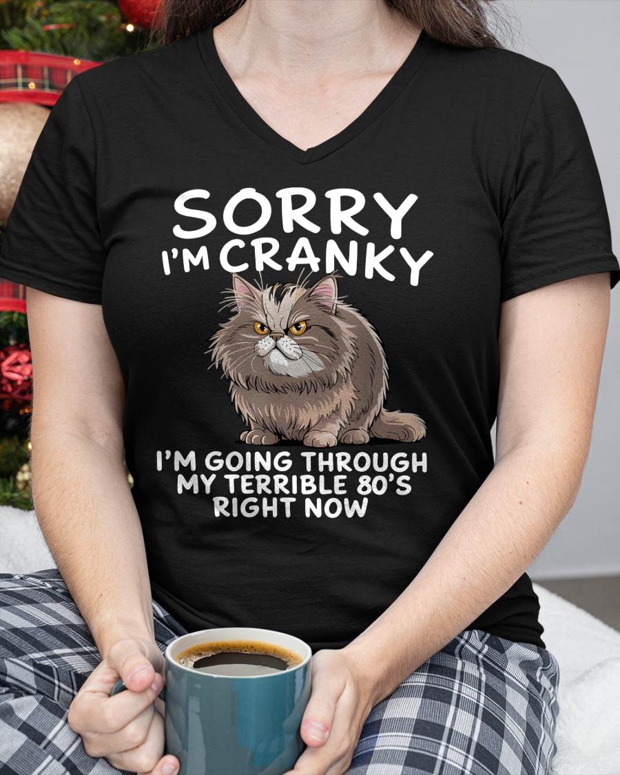 SORRY I AM CRANKY, 80'S - BIRTHDAY SHIRT FOR WOMEN - KATE00 (SKU12-254)