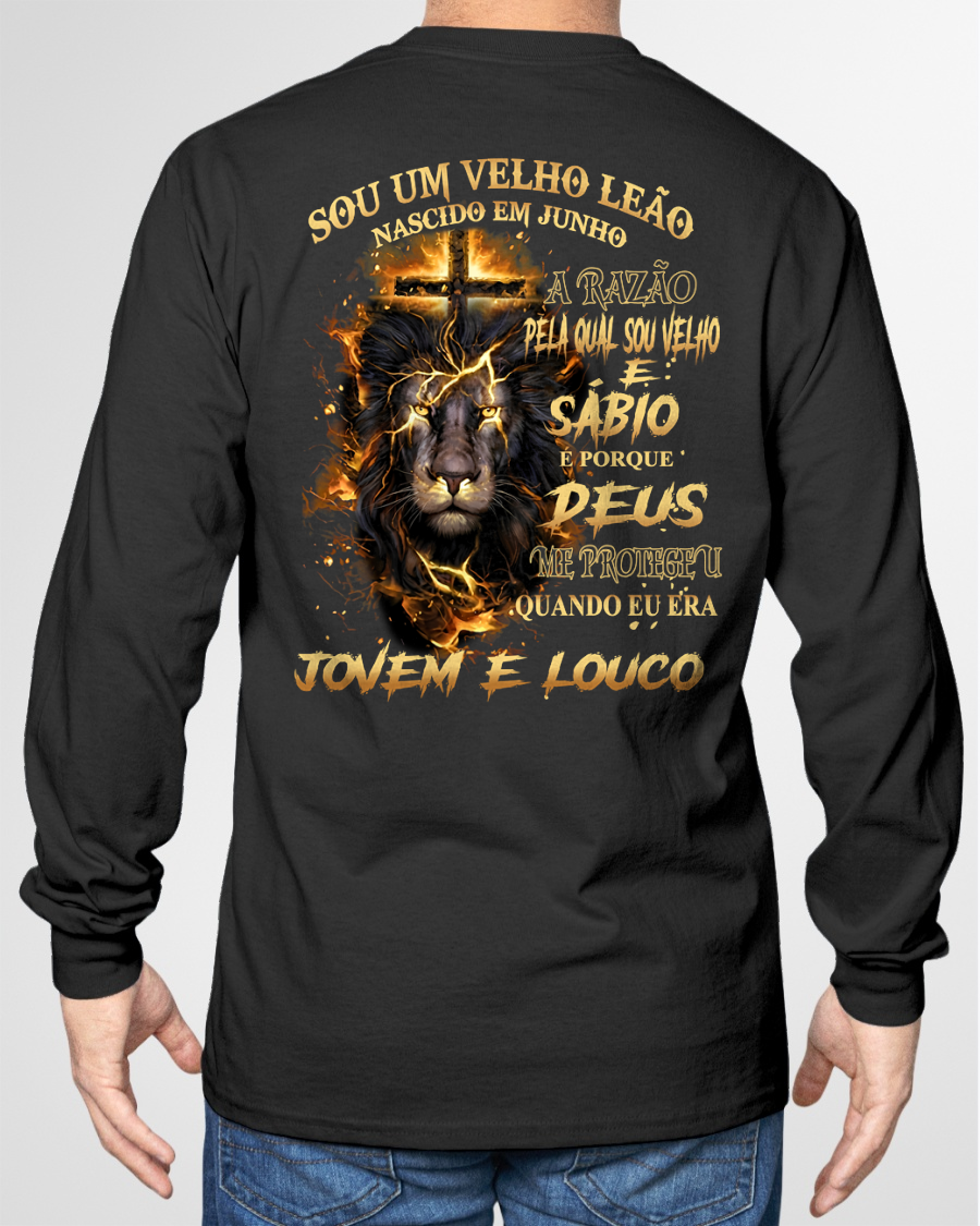 JUNHO VELHO LEÃO CAMISETA – Deus Me Protegeu Quando Eu Era Jovem E Louco – Ideia Presente De Aniversário (SKU2605-370-06)