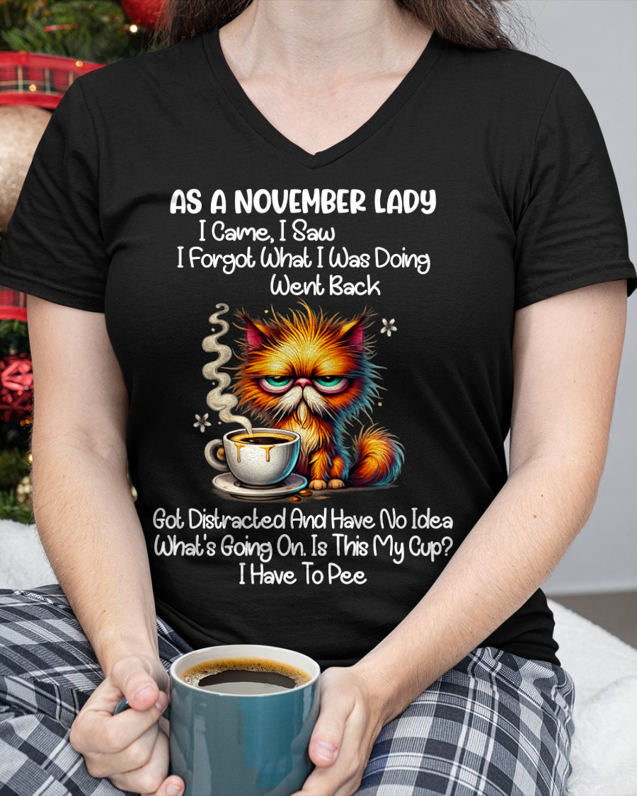 NOVEMBER – As A November Lady I Came I Saw I Forgot What I Was Doing Went Back Got Distracted And Have No Idea What's Going On Is This My Cup I Have To Pee – Funny Birthday Gift – Women Shirt (SKU2603-160-11)