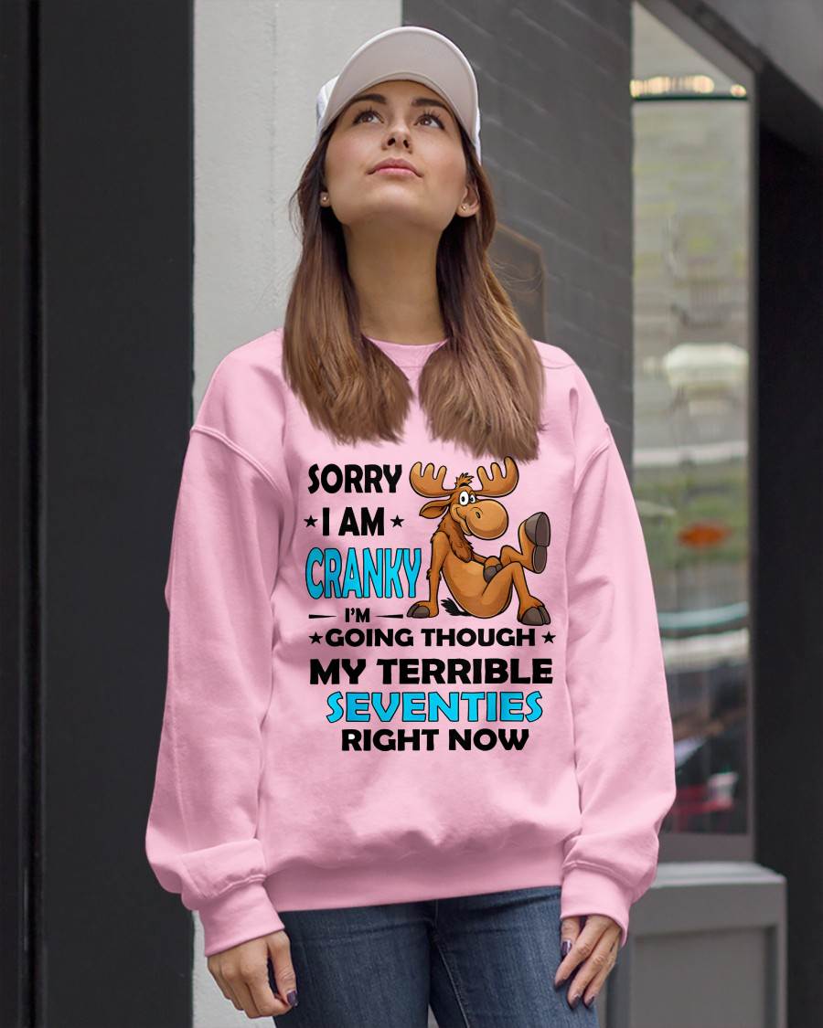 SORRY I AM CRANKY - BIRTHDAY SHIRT FOR WOMEN - KATE00 (SKU12-249)