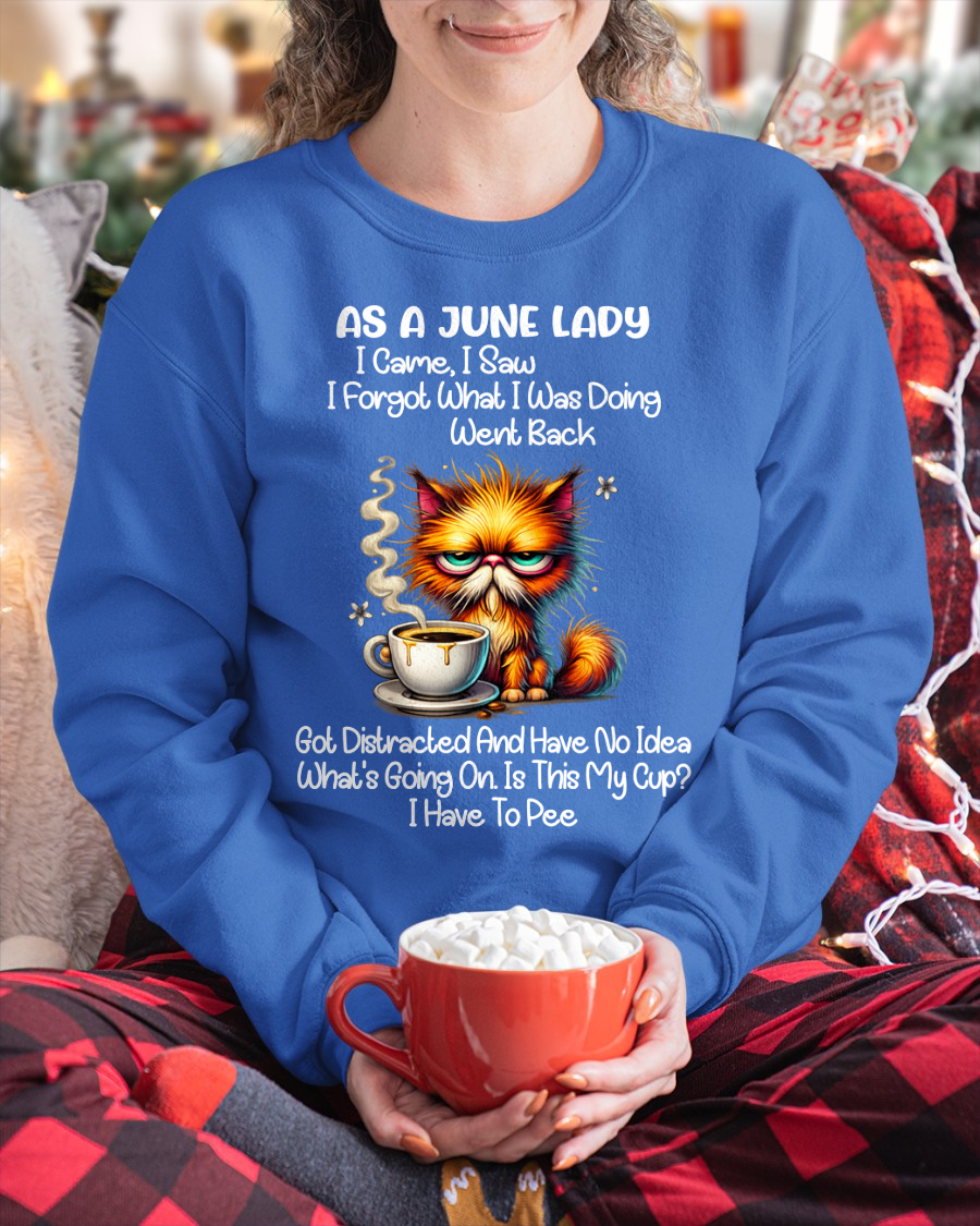 JUNE – As A June Lady I Came I Saw I Forgot What I Was Doing Went Back Got Distracted And Have No Idea What's Going On Is This My Cup I Have To Pee – Funny Birthday Gift – Women Shirt (SKU2603-160-06)